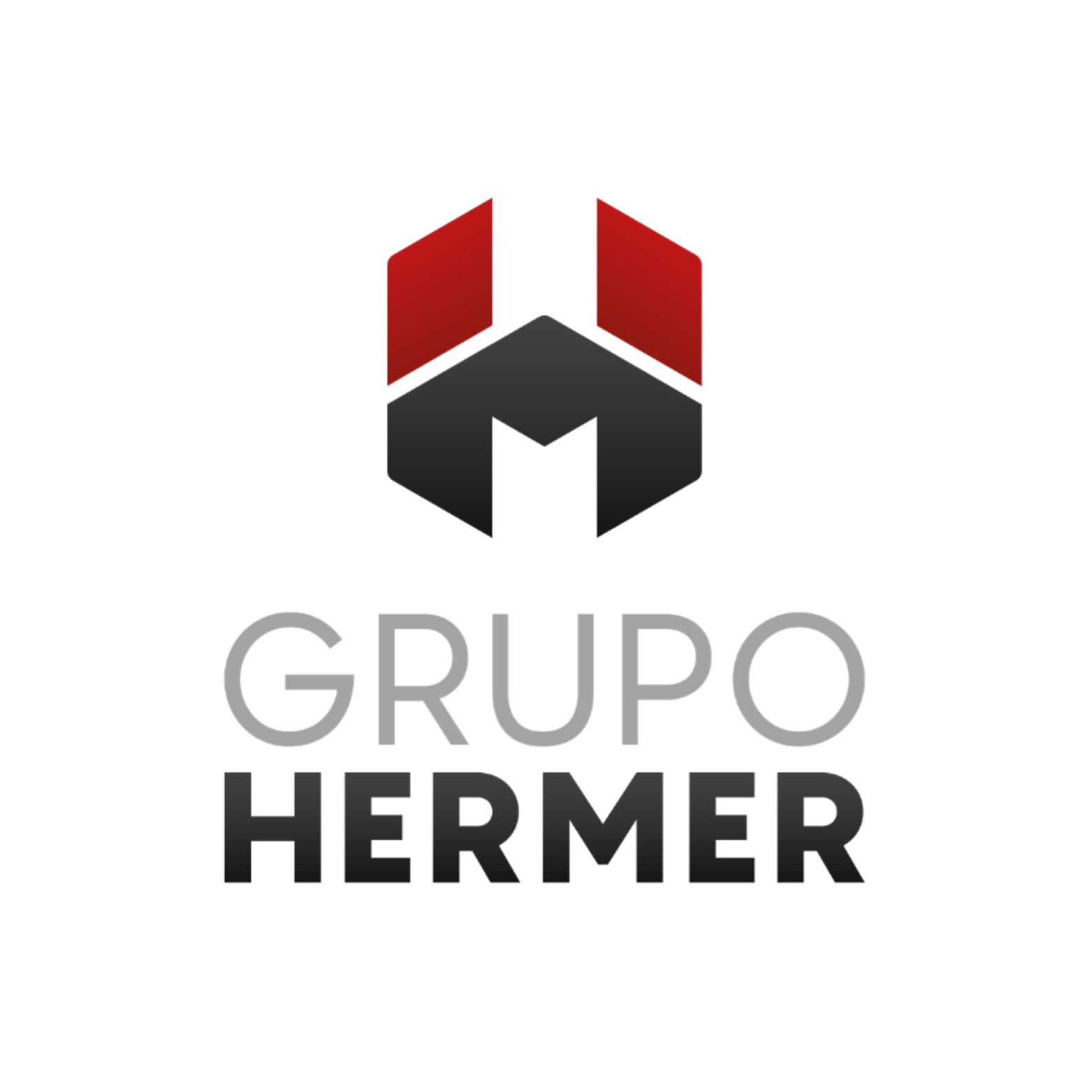 GRUPO HERMER 
